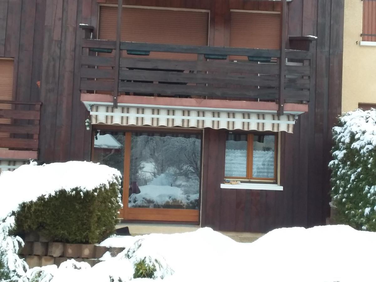 Charmant Duplex De 45M², 2 Chambres, Jardin, Garage, Villard-De-Lans - Fr-1-515-51 Экстерьер фото
